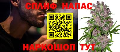 индика Братск