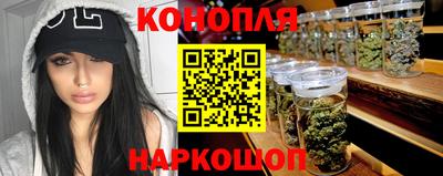 индика Братск
