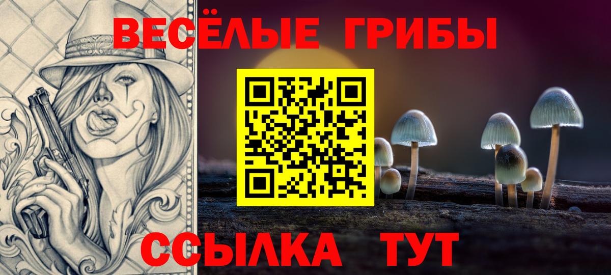 Псилоцибиновые грибы прущие грибы Родники