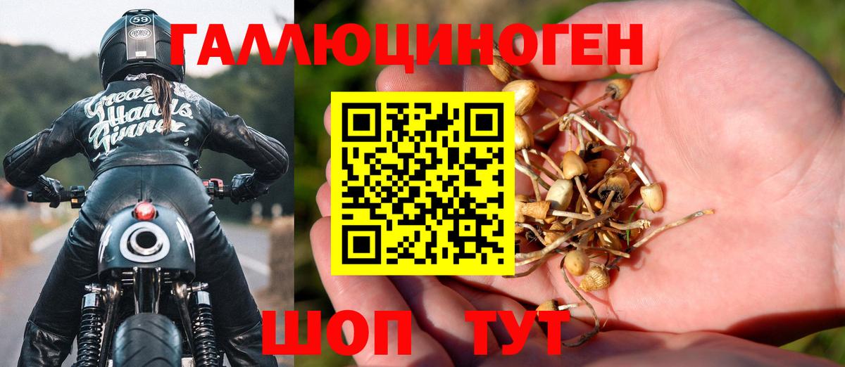 Родники  Псилоцибиновые грибы ЛСД  где продают наркотики  Вход с VPN 